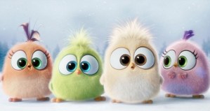 angry birds movie