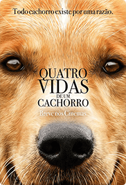quatro-vidas-de-um-cachorro-poster-desktop.png