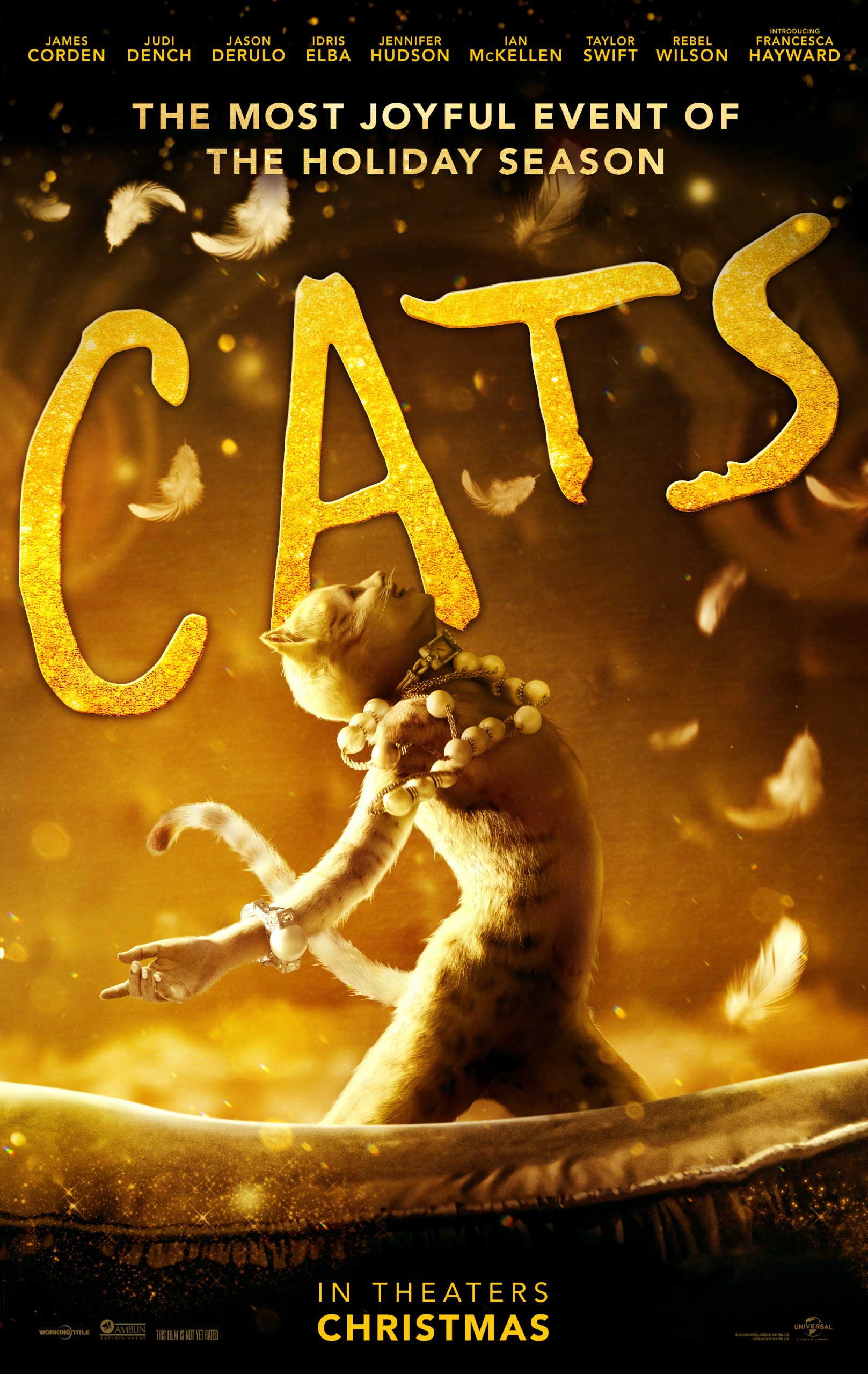 Cats-2019-1-scaled